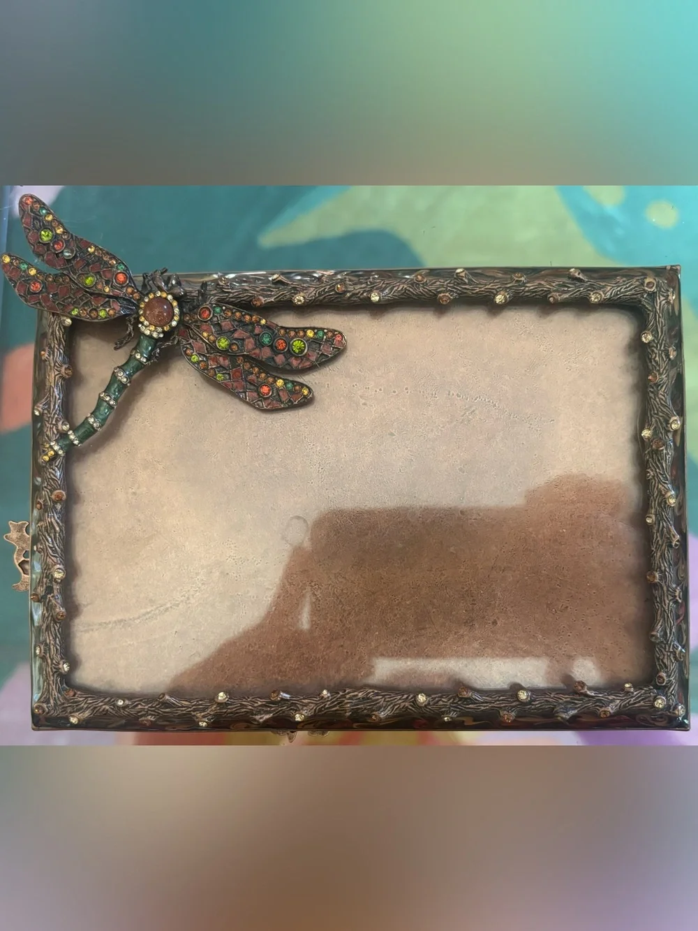Jay Strongwater Swarovski Crystal Dragonfly Jeweled Picture Frame - 4x6